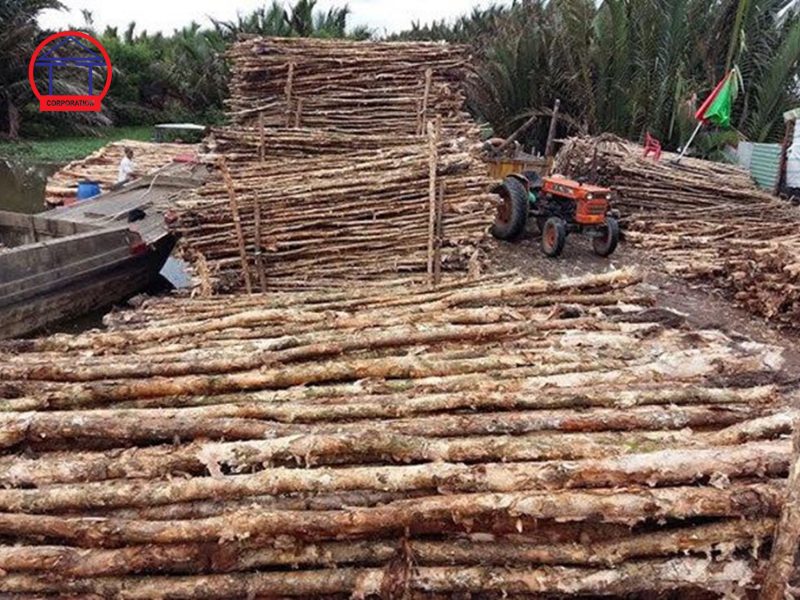 Có mấy loại cừ ván trong xây dựng? 