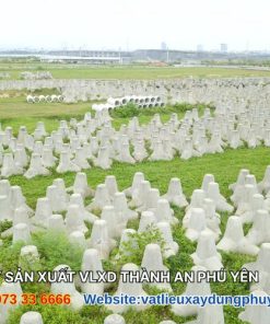 Khối Tetrapod