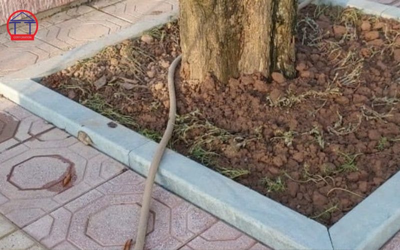 kích thước bó vỉa đá tự nhiên