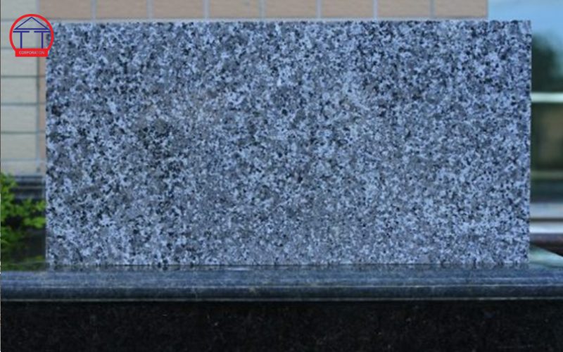 xu hướng đá lát nền 2026