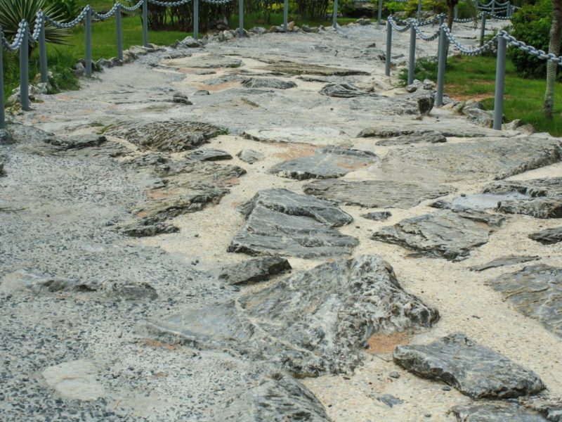 Đá lát vỉa hè dày 8cm: Chịu tải tốt, ít nứt vỡ, tối ưu chi phí dài hạn